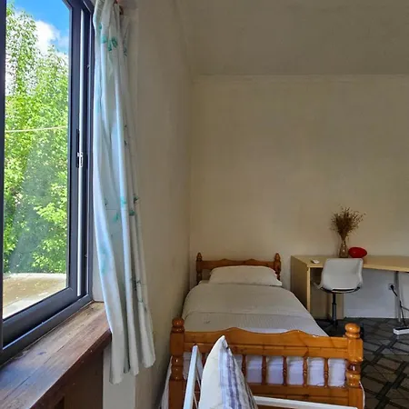 Angie's Shared Tam Tirana