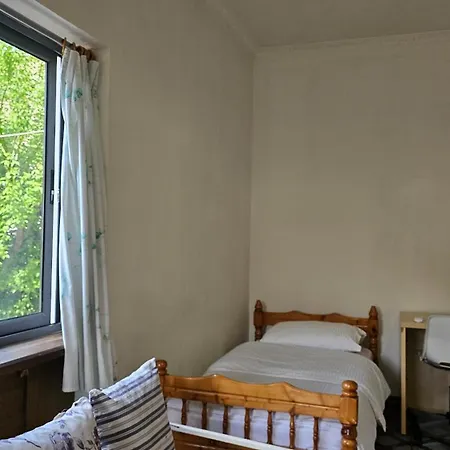 Angie's Shared Tam *