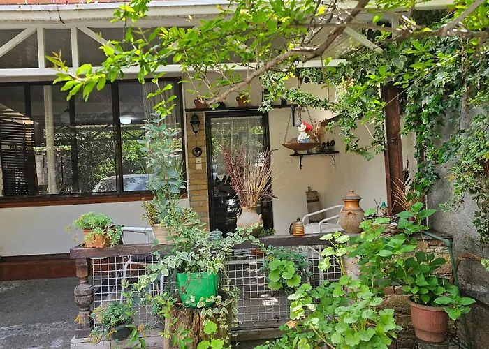 民宿 Angie's Shared Tam