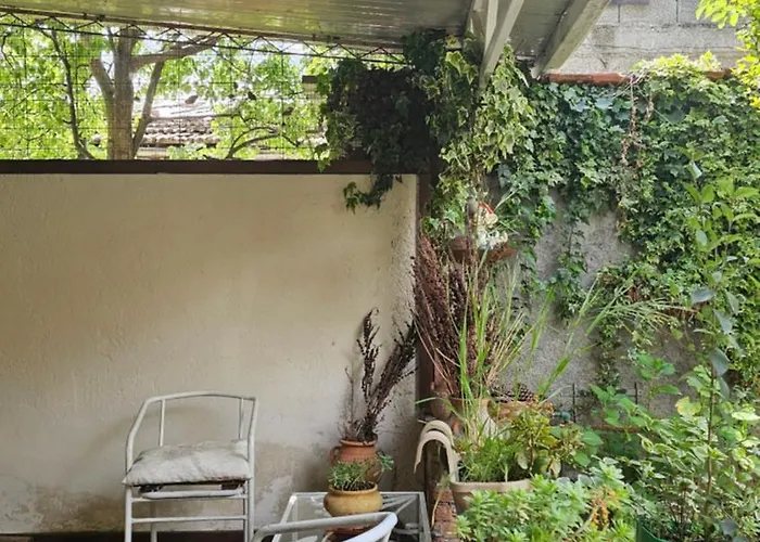 Angie's Shared Tam * 地拉那