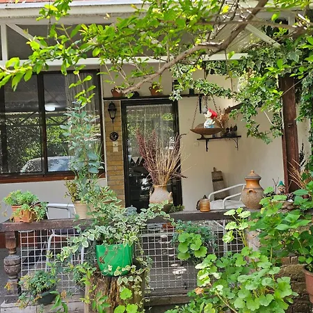 Privat bolig Angie's Shared Tam