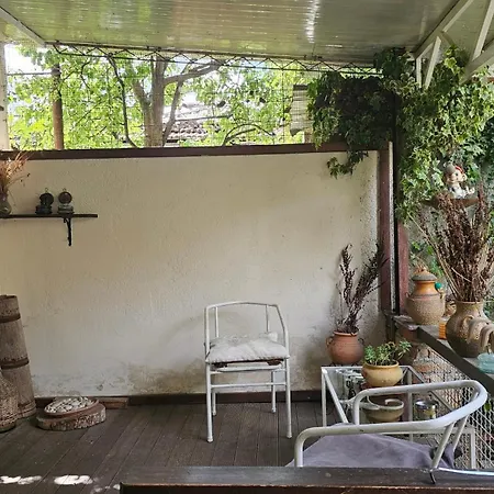 Angie's Shared Tam * Tirana