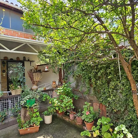 Homestay Angie's Shared Tam Tirana