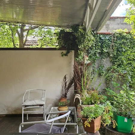 Angie's Shared Tam * Tirana