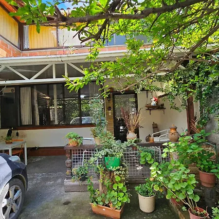 Angie's Shared Tam Privat bolig Tirana