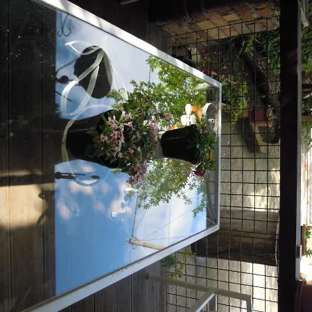 Homestay Angie's Shared Tam Tirana