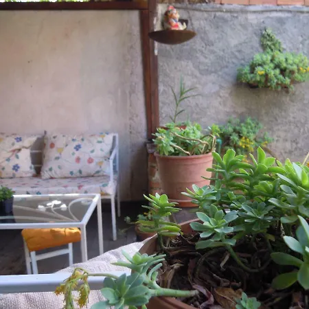 Homestay Angie's Shared Tam Tirana